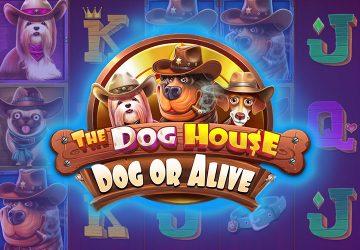 Playtech - игровой автомат онлайн от Various с RTP 97.17%